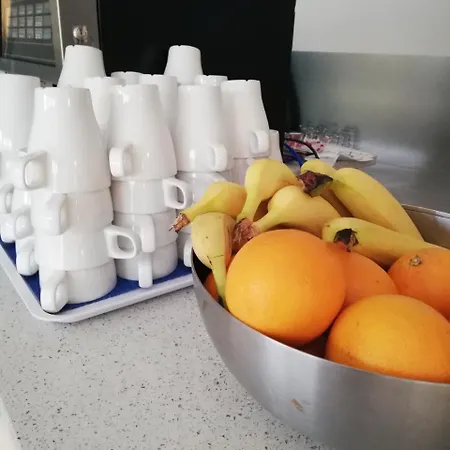 호텔 아르 알리기에리 3*